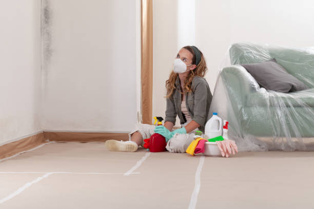 Reliable Mold Inspection And Testing contractor in Carrollton, TX by Mold Remediation HQ